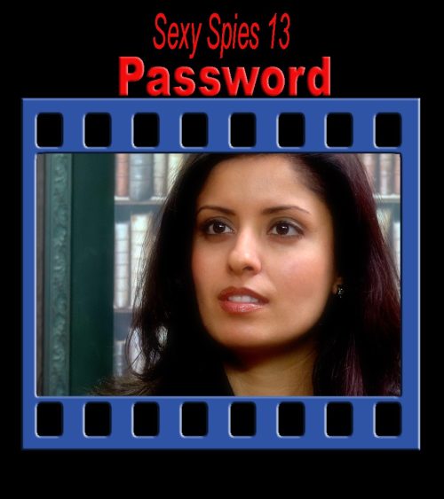 Sexy Spies #13: Password