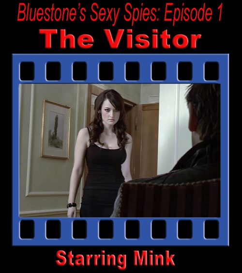 Sexy Spies #1: The Visitor