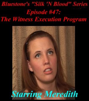 Episode 47 - Witness Execution Program