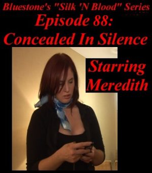 Episode 88 - Concealed In Silence