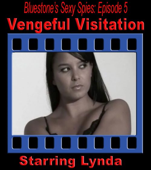 Sexy Spies #5: Vengeful Visitation