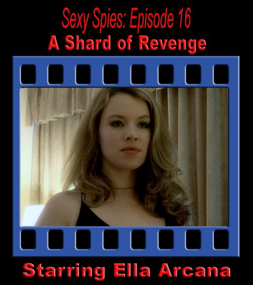 Sexy Spies #16: A Shard of Revenge