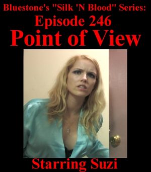 Episode 246 - Point of View