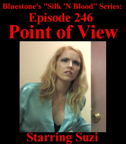 Episode 246 - Point of View