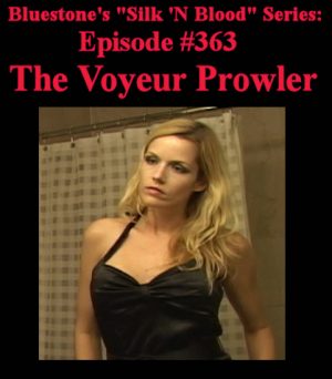 Episode 363 - The Voyeur Prowler