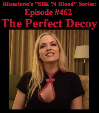 Episode 462 - The Perfect Decoy