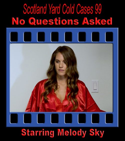 S.Y.C.C. #99 - No Questions Asked